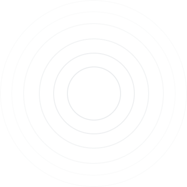 project overview